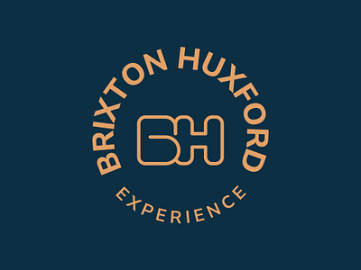 BH Experience brand i brand identity branding company logo creative logo graphic design health logo logo professional logo