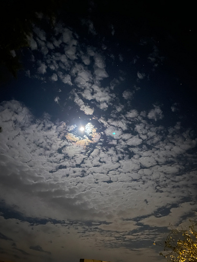 walking through dusk nature photography clouds moon