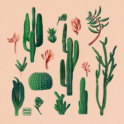 Cactus & Succulents cactus design flat illustration packaging paper design pattern design plants retro succulents