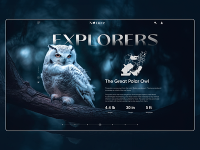 Nature Project Landing Page animals graphic design interface nat geo national geographic nature owl ui ux website