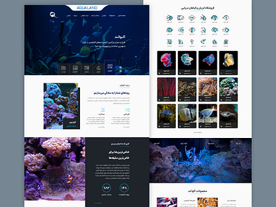 Aqualand aquarium design ui ux website