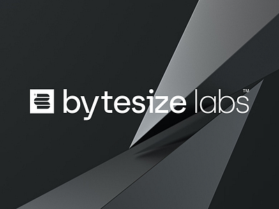 Bytesize Labs logo brand identity branding bytesize labs clarance design illustration logo
