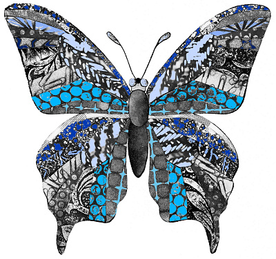 my butterfly design