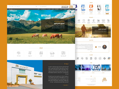 Fajr-Parsian Chemical Industry chemical industry corporate design ui ux website