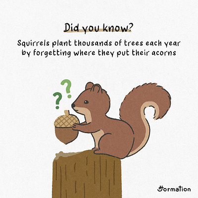 Squirrels plant thousands of trees each year acorn animal animals cartoon did you know digital art digital illustration drawing fact of the day fun fact illust illustration nuts procreate random fact squirrel squirrels trees wild life