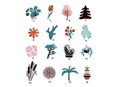 Style Explorer — Plants cactus digital illustration flowers house plants illustration plants procreate style trees