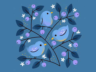 Blue Birds birds blue blue bird branches digital illustration illustration procreate