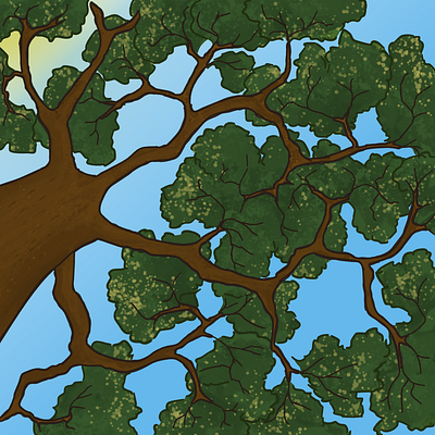 tree from below illustration