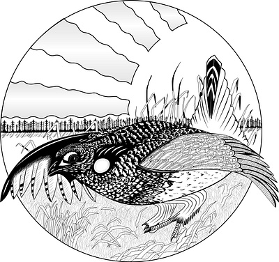 A Bird with Background adobe illustrator bird complex vector bird vector graphic design illustration image into vector manual vector tracing sparrow vector vector tracing