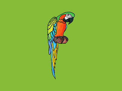 Colors of Nature Macaw Parrot animator art artist bird colors digital art digital illustration forest illustration illustrator jungle kids book illustration kids illustration macaw nature parrot procreate rain forest