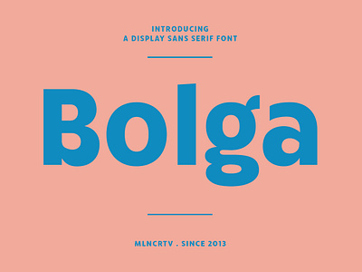 Bolga Display Sans Serif Font branding font fonts graphic design logo nostalgic