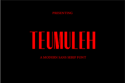 Teumuleh san serif font branding brochures graphic design logo logo type. text document motion graphics