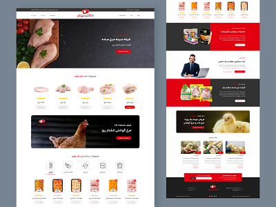 Dr.Javan Chicken Meat Store chicken chicken meat design shop ui ux website