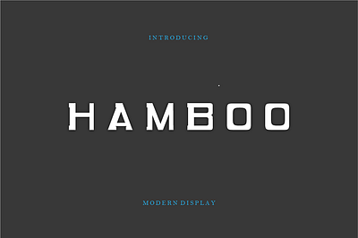 Hamboo font 3d animation branding graphic design logo motion graphics