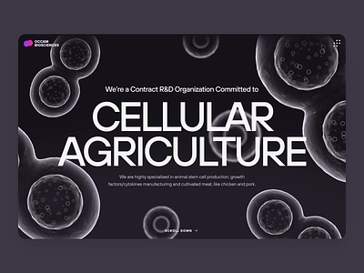 Occam Biosciences | Stem Cell Startup | UI/UX 2023 | Homepage agriculture animation biology biotech cell cultivated meat dark dna food genetics growth factor lab grown landing page meat medical pharma science stem cell tissue web design