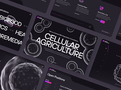 Occam Biosciences | Stem Cell Startup | UI/UX 2023 | Desktop 1 3d agriculture animation biofood biology biomeat biotech cell cellular cultivated meat dark desktop interaction lab grown meat science stem cell therapeutics ui ux web design