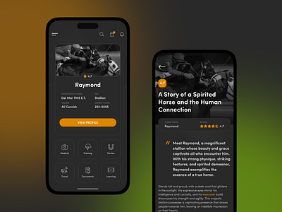 Horse iOS App app application article dark gradient horse horses icons ios modern night orange rating search status ui ux