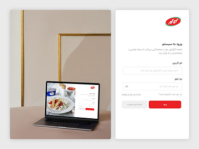 B2B Customer Service design ui ux web webdesign website