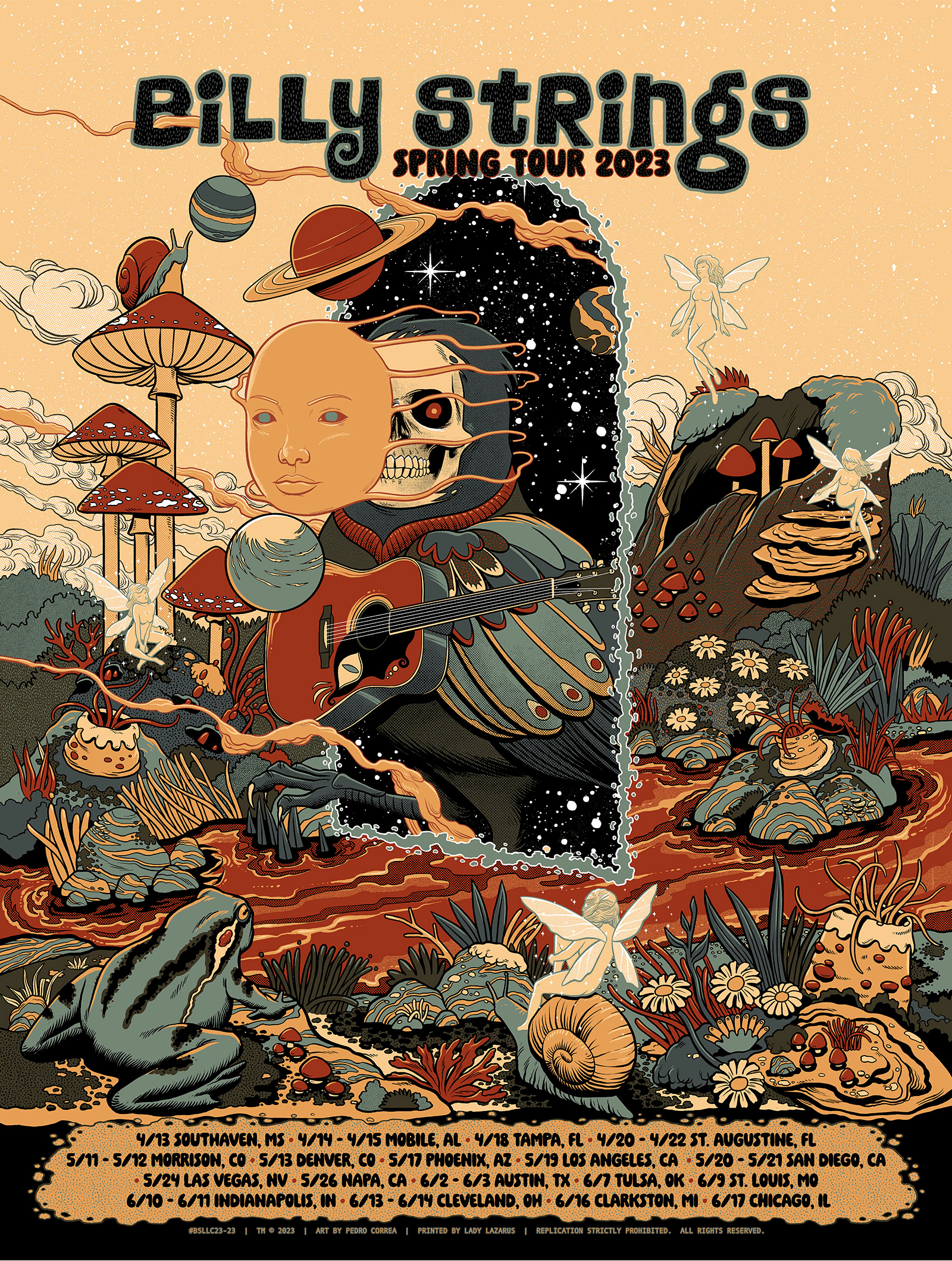 Billy Strings fairy fantasy frog illustration mushroom music nature portal poster river skull snail space spring toad woods