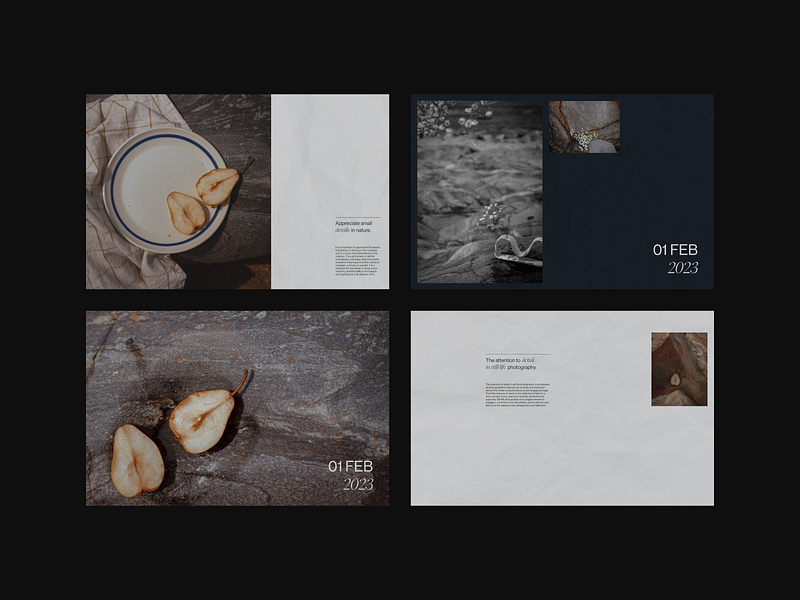 Editorial Concept concept design editorial minimal photography stilllife ui ui ux design