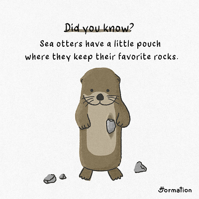 Sea otters have a little pouch where they keep favorite rocks. animal digital art digital illustration illustration otter otters procreate rock sea otter sea otters wildlife