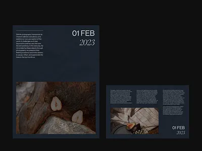 Editorial Concept 01 basic concept design editorial minimal photography stillife ui ui ux ui ux design ux