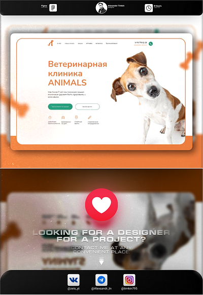 Landing veterinary clinic ANIMALS/web-design/graphic design. 3d app branding design graphic design illustration landing logo typography ui ux vector web design