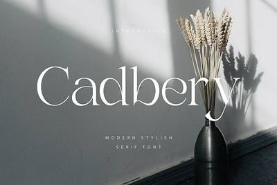 Cadbury | Modern Serif app branding design graphic design illustration logo typography ui ux vector