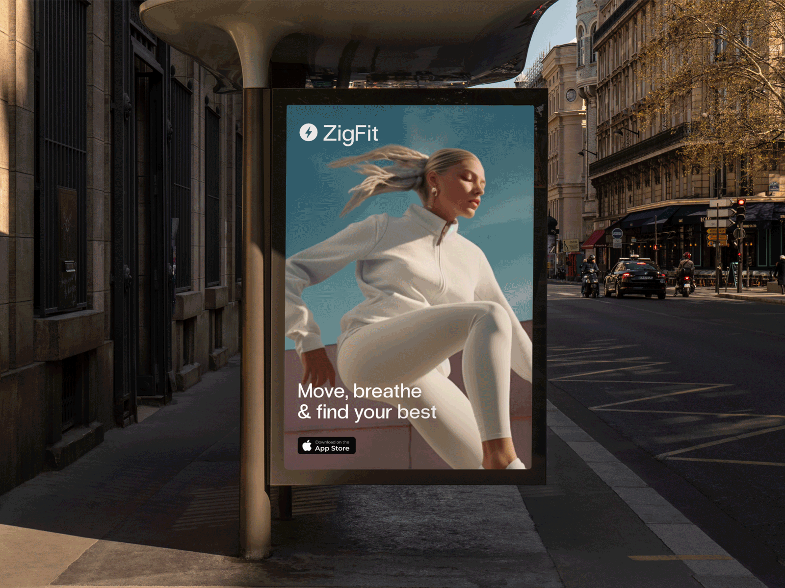 ZigFit app branding course typography web