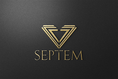 Maison Septem branding graphic design illustration ui ux vector