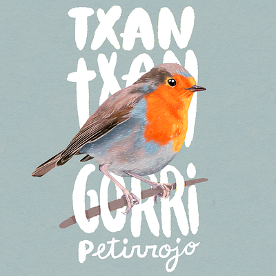 Txantxangorri bird drawing illustration little bird matricial petirrojo redbreast robin robin bird