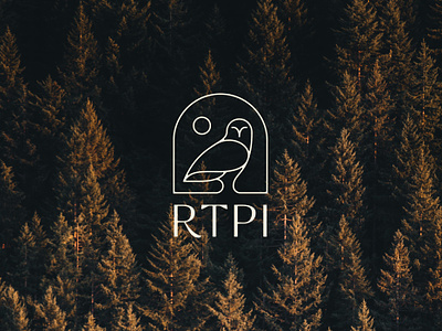 RTPI Brand Identity branding custom type icon logo museum branding nature non profit branding owl
