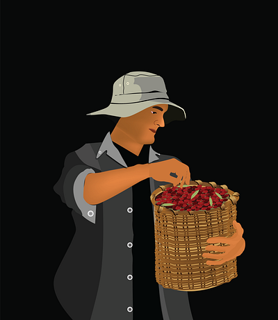 vector farmer character design(coffee plant) adobeillustrator animation backgroundillustration branding coffeebackaging design digitalpainting farmer graphic design illustration illustrator motion graphics