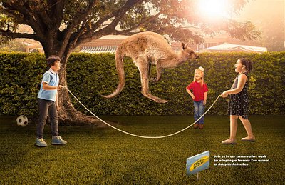 TORONTO ZOO Adopt An Animal andrew reutsky art director