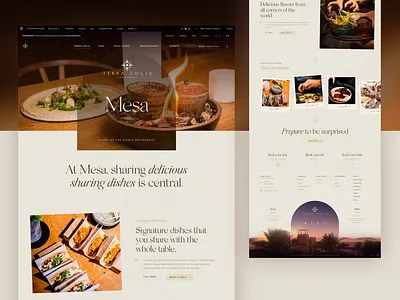 Terra Solis - A Desert Destination agency beige belgium branding design dubai food homepage tomorrowland typography ui ux web design webdesign website