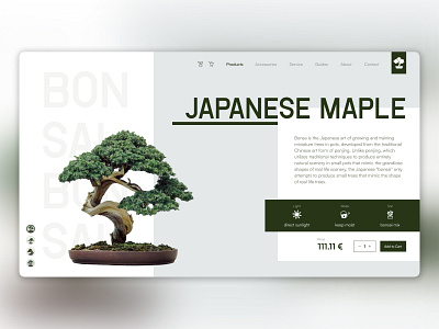 E-Commerce Shop | DailyUI #012 bonsai dailyui e commerce green japan plants trees ui uiux webdesign