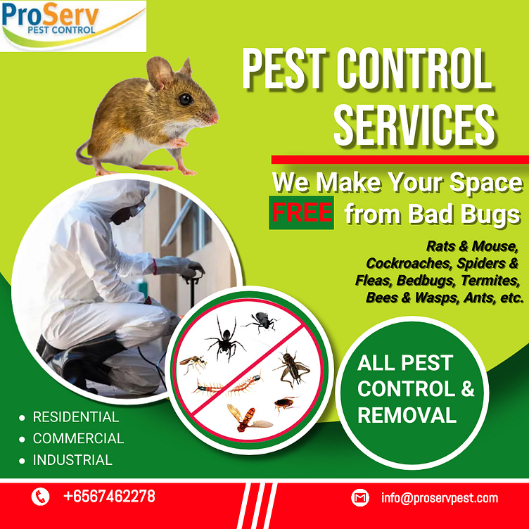 Bed Bug Pest Control Successful Approaches by Proserv Pest on Dribbble