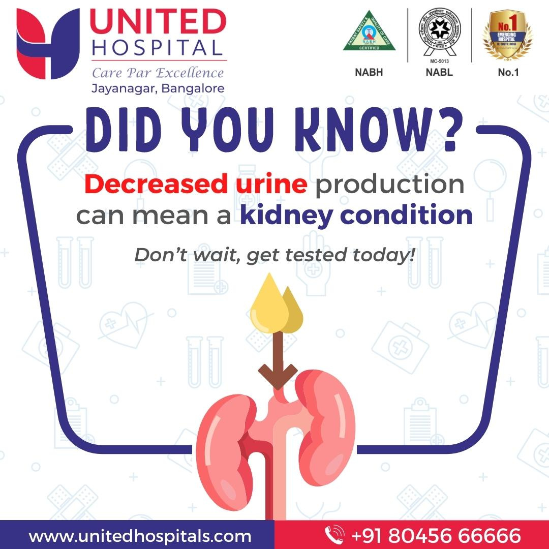 Best Doctor for Kidney Stones in Bangalore United Hospital by