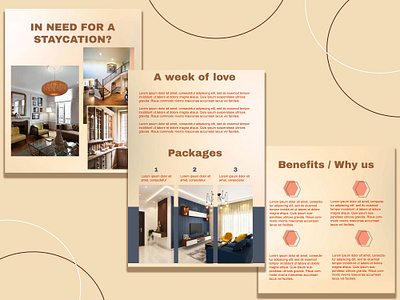Newsletter design - Staycation brand design design graphic design newsletter