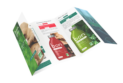 Brochure wellness startup branding brochure coldpress flyer graphic design health juice print startup wellness