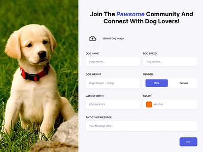 Pawsome - Dog's Community design dog form dogs dogs application dogs community figmadesign signup form ui