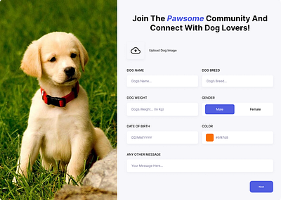 Pawsome - Dog's Community design dog form dogs dogs application dogs community figmadesign signup form ui