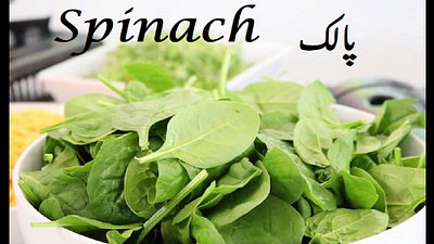 Spinach Benefits benefits palak spinach vegetable