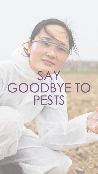 Social Media Poster- Pest Control graphic design