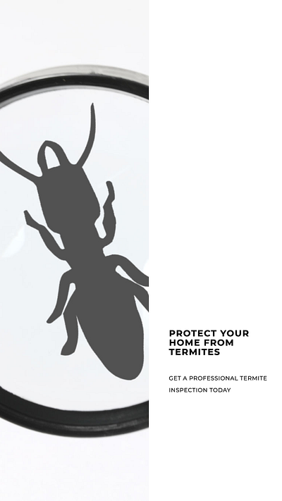 Social Media Poster- Pest Control graphic design