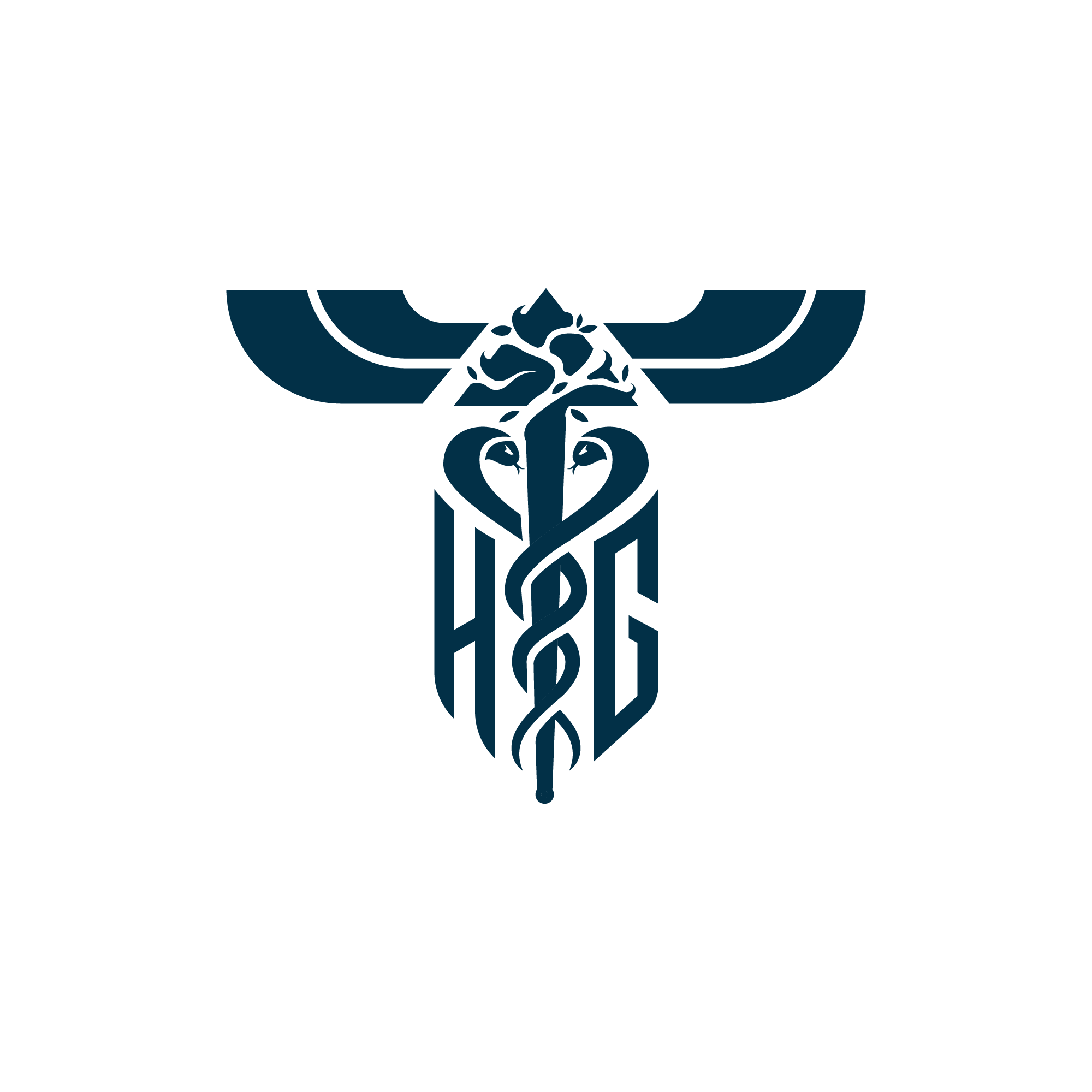 Example of Logo Design 