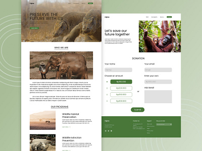 Ligna - Conservation Website ui ux