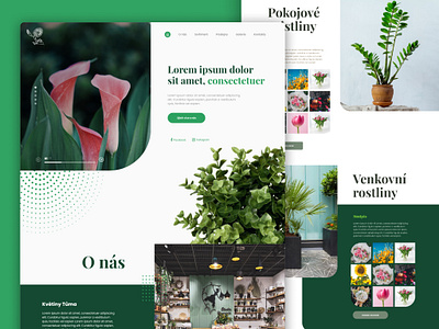 Plants Tuma - Website design flower graphic design green landingpage plants ui ux