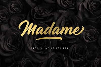 Madame - SUMMER SALE app branding design graphic design illustration logo typography ui ux vector