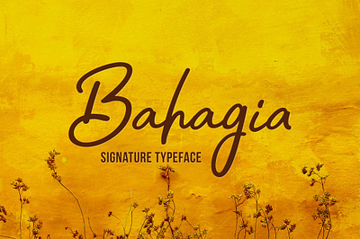Bahagia | Script Font app branding design graphic design illustration logo typography ui ux vector